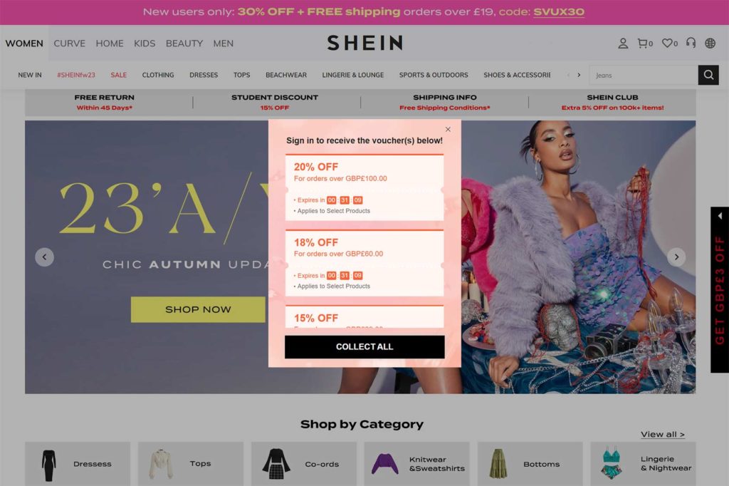 20+ High-Converting Examples of eCommerce Popups