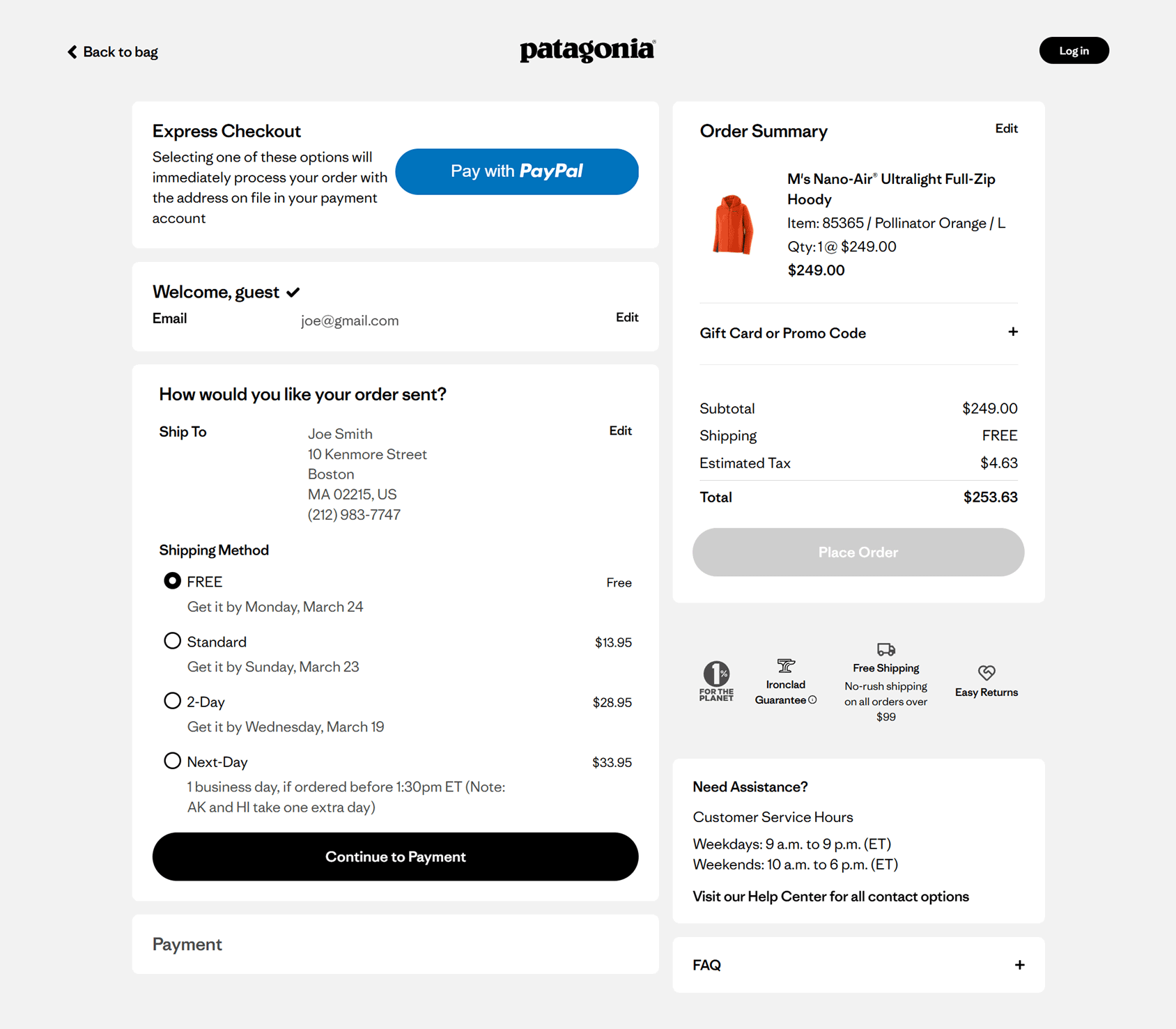 Patagonia Checkout